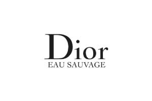 dior logo